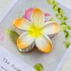 Plumeria Claw Clip: European & American Stylish Hair Accessory for Updos