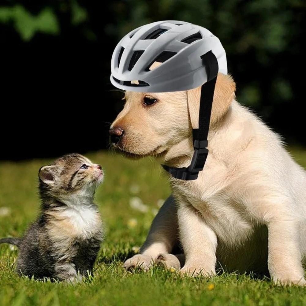 Adjustable Strap Dog Safety Helmet Breathable Dog Motorcycle Hat Fashion Pet Helmet Pet Headwear