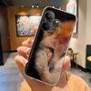 For Realme GT 6 Case Colorful Painted Cover Soft Silicone Phone Case For Realmi GT 6T RealmeGT6 GT6T Case Transparent Funda Bags
