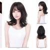 affiliated innovative highly praised by top wig made with slimming peace of PL insurance [TefuRe] J-hair member, style, stylists, medium, semi-long,