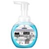 Walch Schäumende antibakterielle Handwäsche