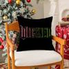Fantasy Musical Film WWicked Pillow Case Silky Short Plush With Invisible Zipper Dustproof Sofa Cushion Cover