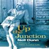Up The Junction by Nell Dunn Paperback Book 9781844089826