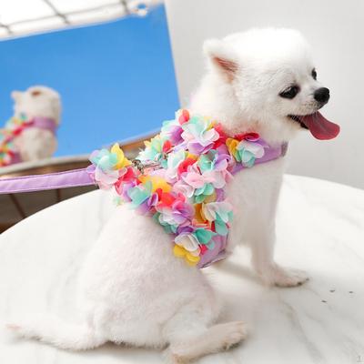 Köpek – Köpek Tasmaları ve Tasma Kayışları