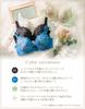 Wing Lesiage Fuller Comfortable 2920 Padded PB2920 BU C80 Wing/Wacoal Bra, Bust, Fit, Series, Bra,