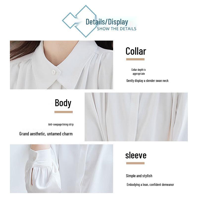 Women's Long Sleeve Professional Blouse