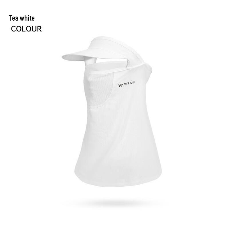 Lishi Women's Summer Ice Silk Full-Face Sun Protection Mask