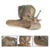 Puzzle Science Micro Landscape Snail Model Garden Decoration Snail Statue Simulation Insect