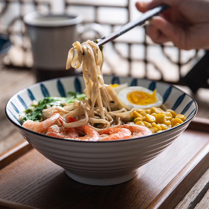 IJARL Nordic Ceramic Noodle & Soup Bowl