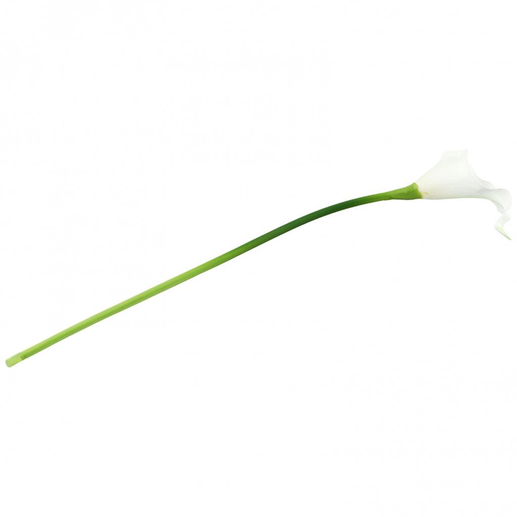 Photography Artificial Flower Washable Decoration 10pcs Indoor Outdoor