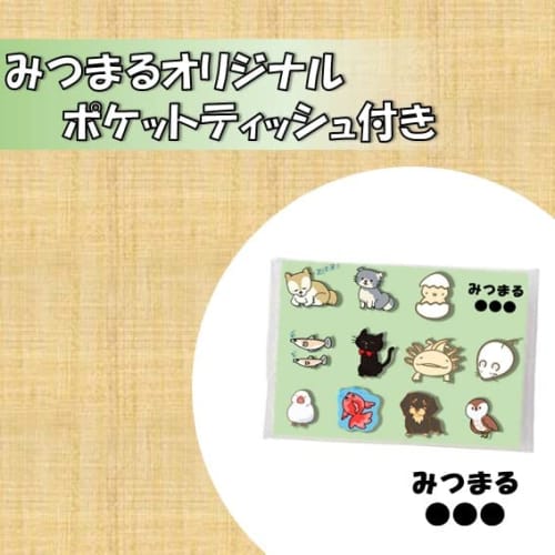 Nel Drip Coffee Filters, 2-Pack, Size 102, Serves 2-4 People, Set of 2, Includes Mitsumaru Honpo Original Tissues