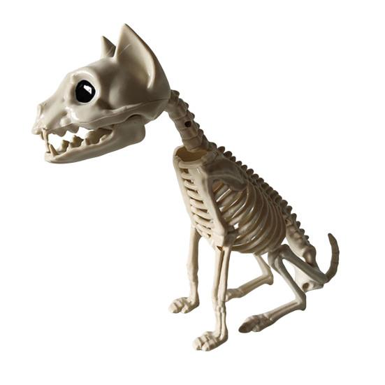 Halloweenské zvířecí kostry Pes Netopýr Žába Štír Pavouk Had Krysa Kostní kostry pro Halloweenskou párty Strašidelný dům Hřbitovní scéna Dekorace