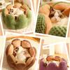 Dog Puppy Flower Bed Round Base Detachable Cushion Sofa for Small to Medium Pet Creative Pet Bed Cute Nest
