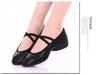 2023 Cross-Border Soft Sole Square Dance Ballet Practice Shoes, Flat Heel, Adult