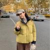 New down cotton clothes women's short stand-up collar loose contrasting colors thickened loose warm bread clothes jacket