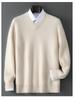 Men's 100% Pure Wool V-neck Thick Warm Business Casual Sweater