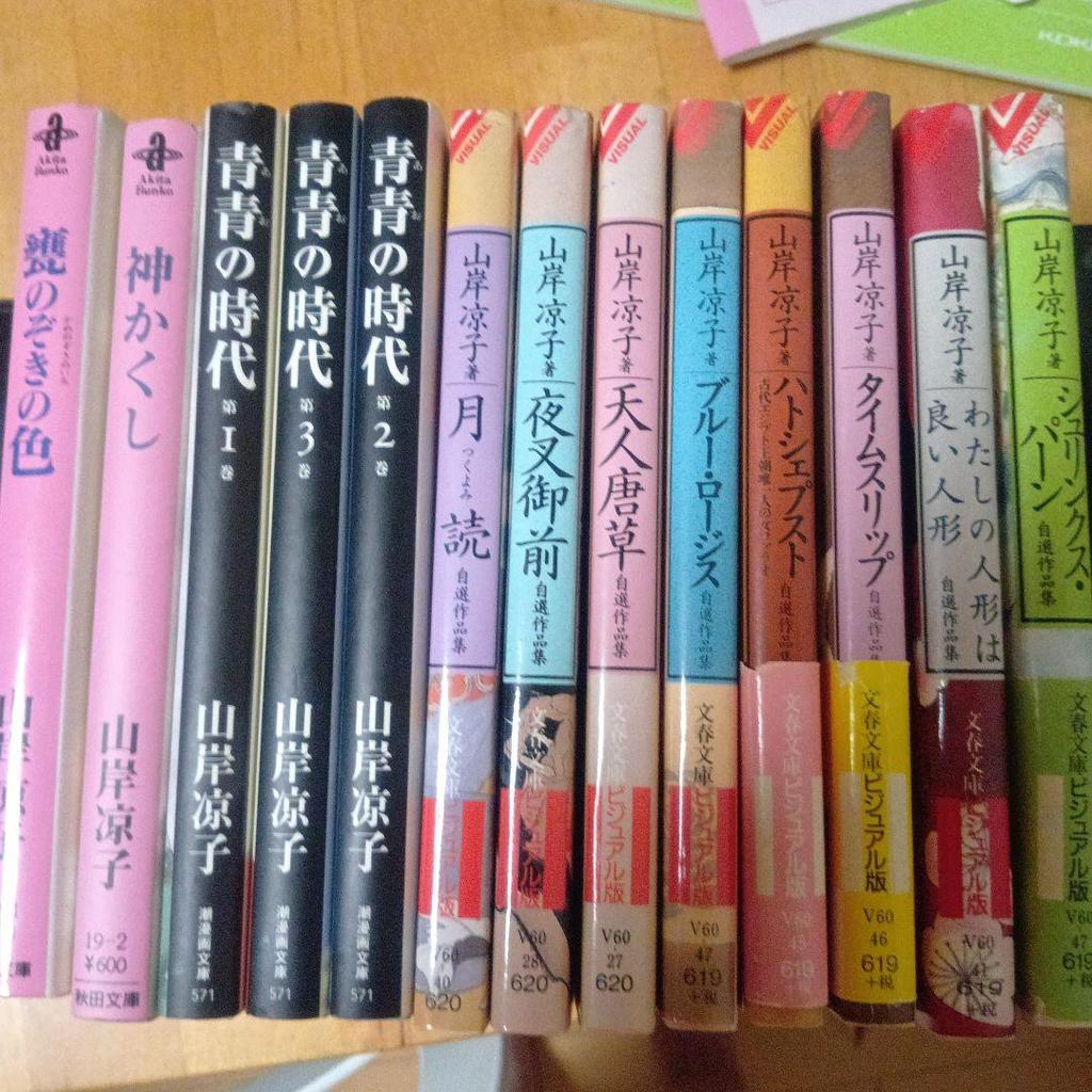 [USED] Ryoko Yamagishi Collection