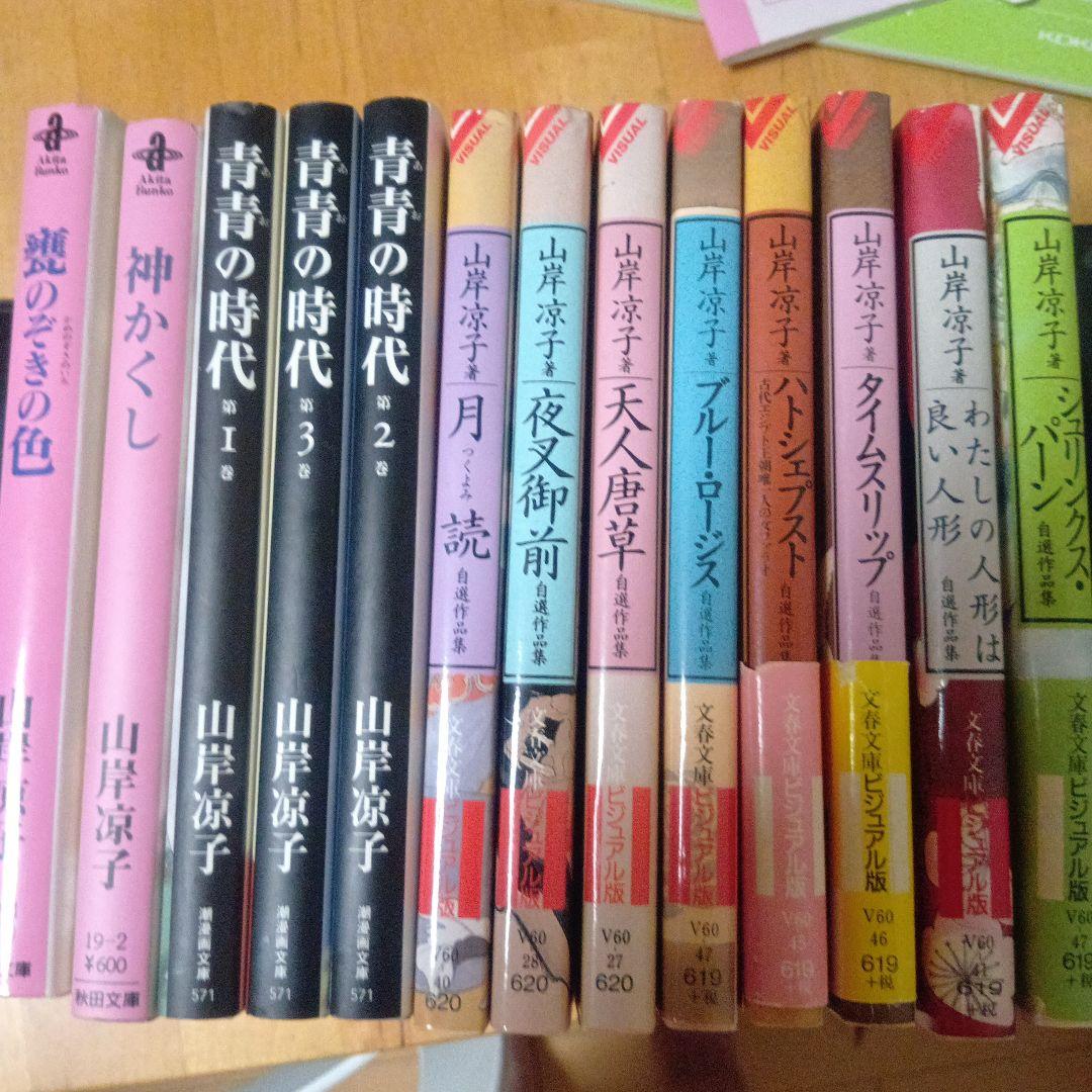 

[USED] Ryoko Yamagishi Collection