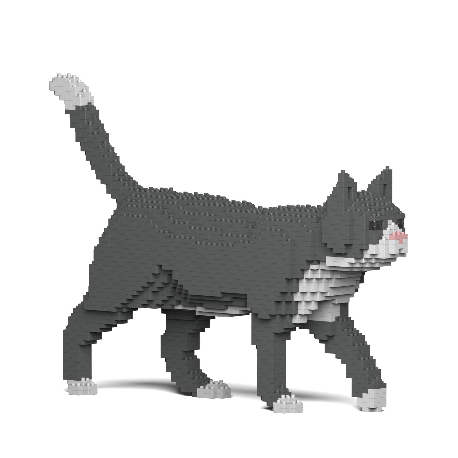JEKCA Jetca Block Grey Tuxedo Cat 02S ST19GTC02