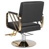 Hair Salon Chair Capacity 420 Lbs Styling Chair with Heavy Duty Hydraulic Pump 360 Swivel Adjustable for Home Barbershop