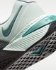 HJ1875-007 Nike Metcon 10 Light Pumice/Black (Men's)