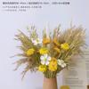 Bouquet de fleurs séchées fleur naturelle ins séché à l'air naturel ornement décoratif décoration de salon arrangement floral roseau coton luxe léger premium