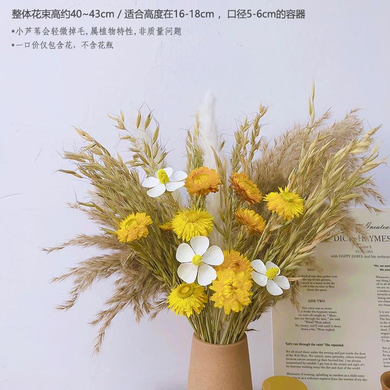 Bouquet de fleurs séchées fleur naturelle ins séché à l'air naturel ornement décoratif décoration de salon arrangement floral roseau coton luxe léger premium