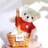 Teddy Bear Doll Plush Toy Children's Pillow Rag Doll Night Market Gift Gifts Gifts Floor Stand