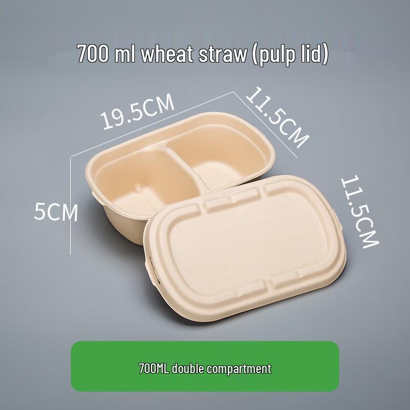 Eco-Friendly Rectangular Pulp Takeout Containers with Lids