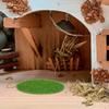 Decorazioni per la casa – Decorazioni per terrari