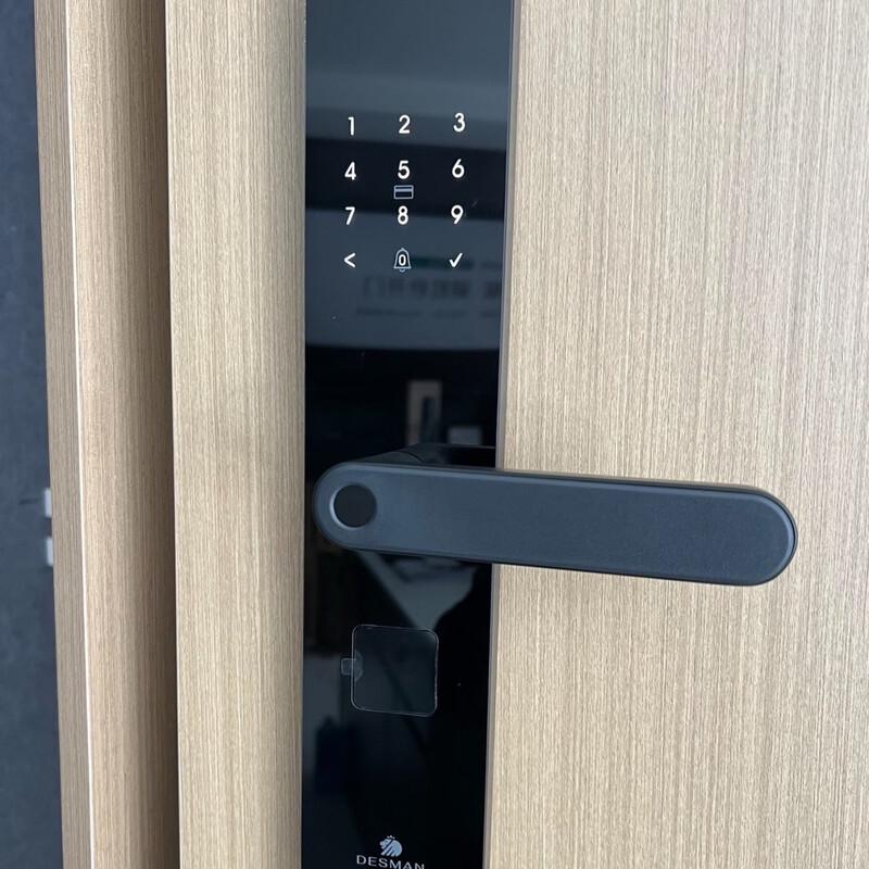 Desmann E27 Smart Door Lock