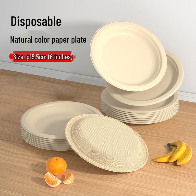 Disposable 6-inch Sugarcane Pulp Plates