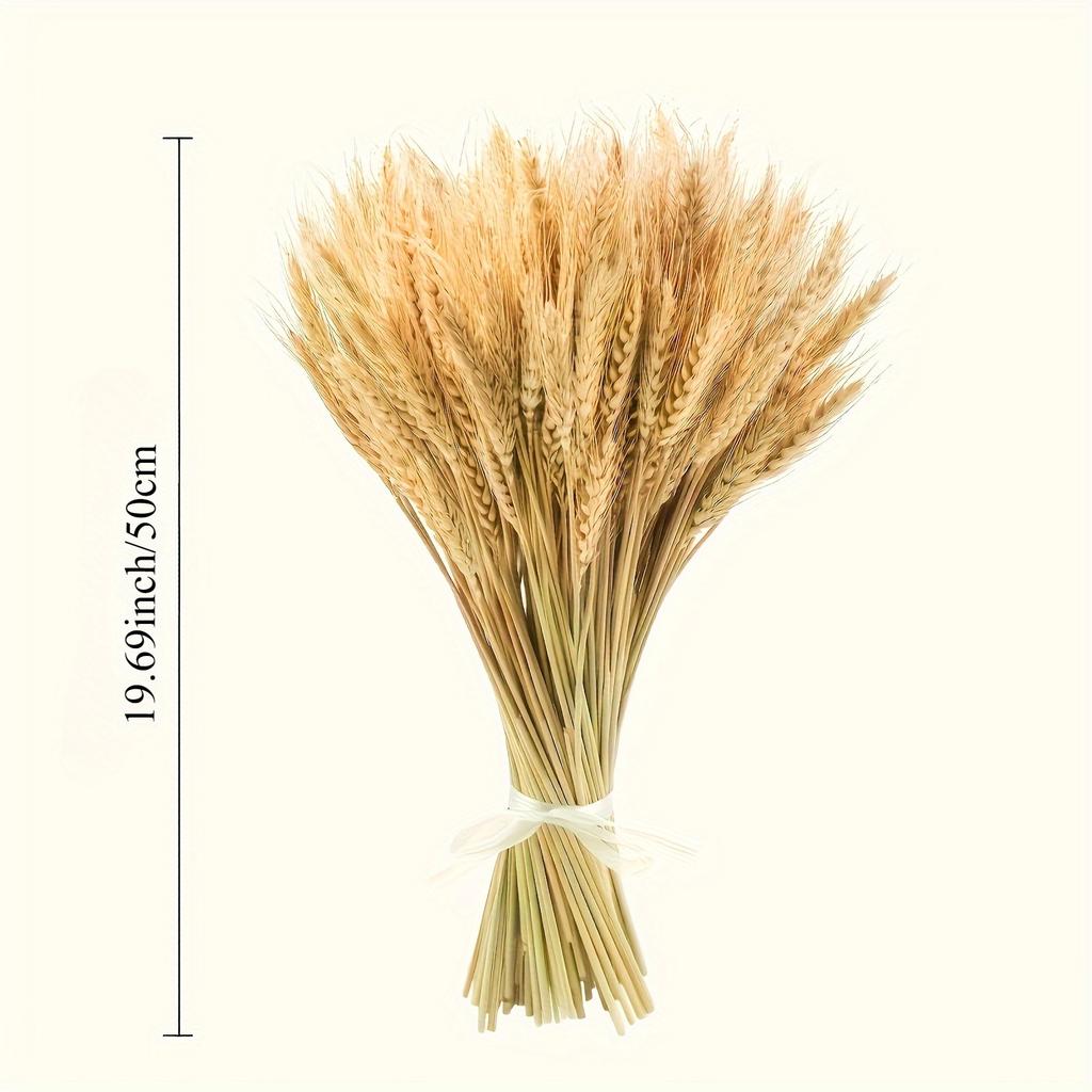 Set of 50 Premium Natural Dried Wheat Flowers for Decoration, Perfect for DIY Floral Arrangements, Ideal for Farmhouse Decor, Centerpiece for Tables