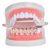 Gold-Plated Skull Hip Hop Grillz - Trendy Halloween Cosplay Tooth Decor