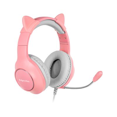 Audio/Video