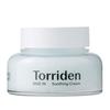 DIVE-IN Low Molecular Hyaluronic Acid Soothing Cream 100ml