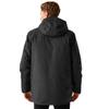 Regatta Mens Ezdale Waterproof Insulated Jacket