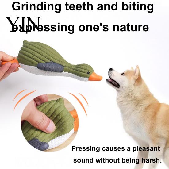 Latex-Kauspielzeug für aggressive Kauer, Ente Hundespielzeug, Quietschende Wildform, Realistische Form Spielzeug Welpen Zahnungs-Kauer, Kleine und Mittlere Hunde Ungiftig