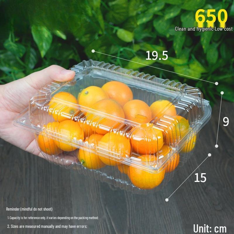 Handun 650g Disposable Round Fruit Container