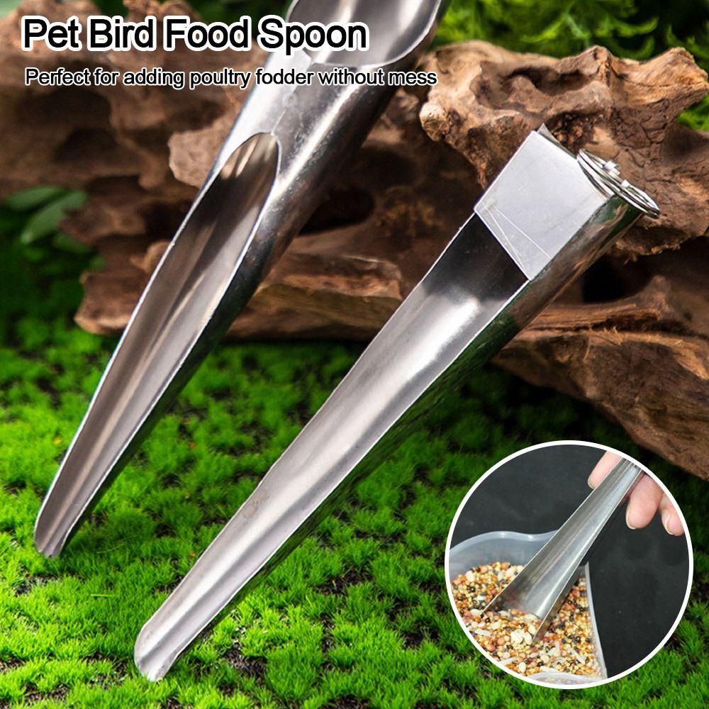 3Pcs Stainless Steel Feeding Tool Feeding Bird Supplies Pet Bird Food Spoon Bird Cage Bird Spoon