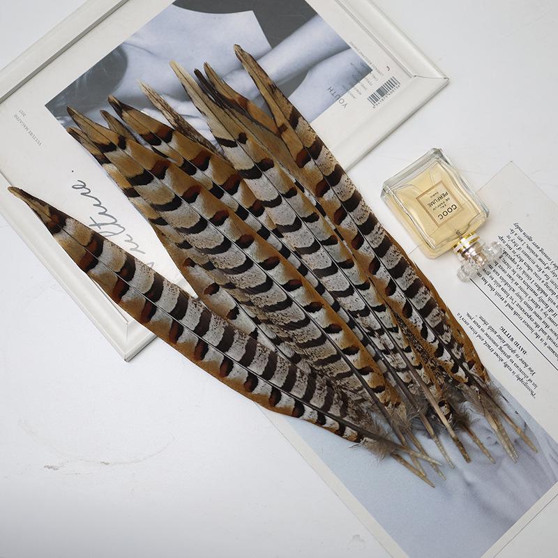 Pheasant Feather Long Plumes for Peking Opera Performance - Sun Wukong Theme