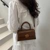 Pu Small Square Bag With Top Flap For Daily Casual Street Fashion
