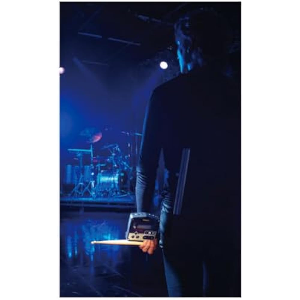 Roland Roland Trigger Module, TM-2 Sound Source Module, Ideal for Live/Practice, Hybrid Drum, SD ...