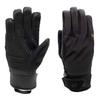 Extremities Mens Ski Gloves