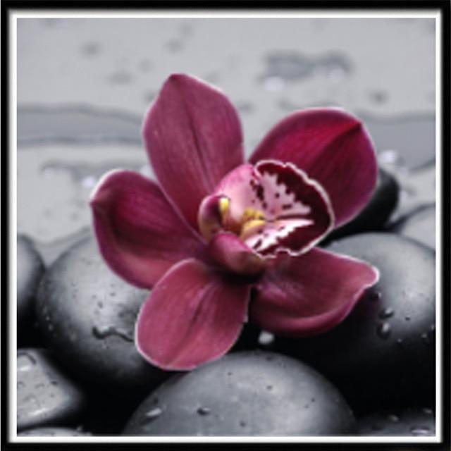 Pittura diamante 5D Fai da te Paesaggio Fiore Colore Rosa Ricamo diamante Ricamo diamante
