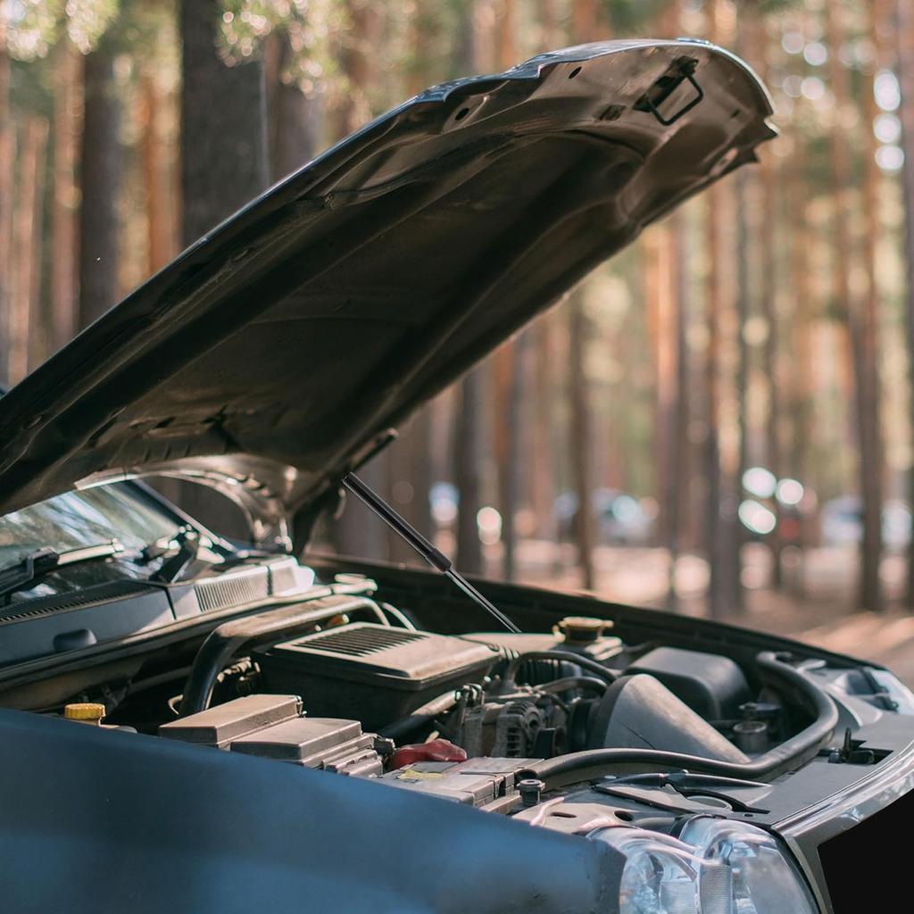 Lift Supports Struts Gas Spring No.25865060 for Chevrolet Malibu 2008-2012 Sedan Black 1PCS Front Hood