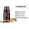MAYJAM 10ml/30ml/100ml Tangerine Pure Essential Oil for Humidifier Fragrance Lamp Air Freshening Aromatherapy Beauty Skin Care Body Massage Oil