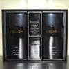 Skincare JGWOQSWR Men's Cosmetics Homme for Men Black Edition 2-piece Set