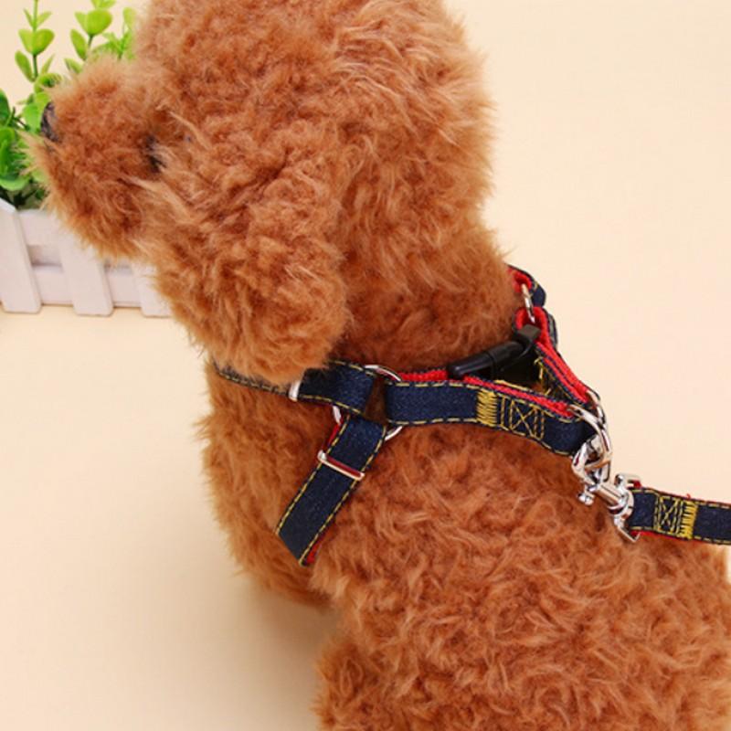 Cat and Dog Harness and Leash Set Adjustable Small Dog Vest Anti-escape Leash for Walking Cats and Dogs Pet Supplies