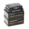 Something Different Book Of Spells Oil Burner